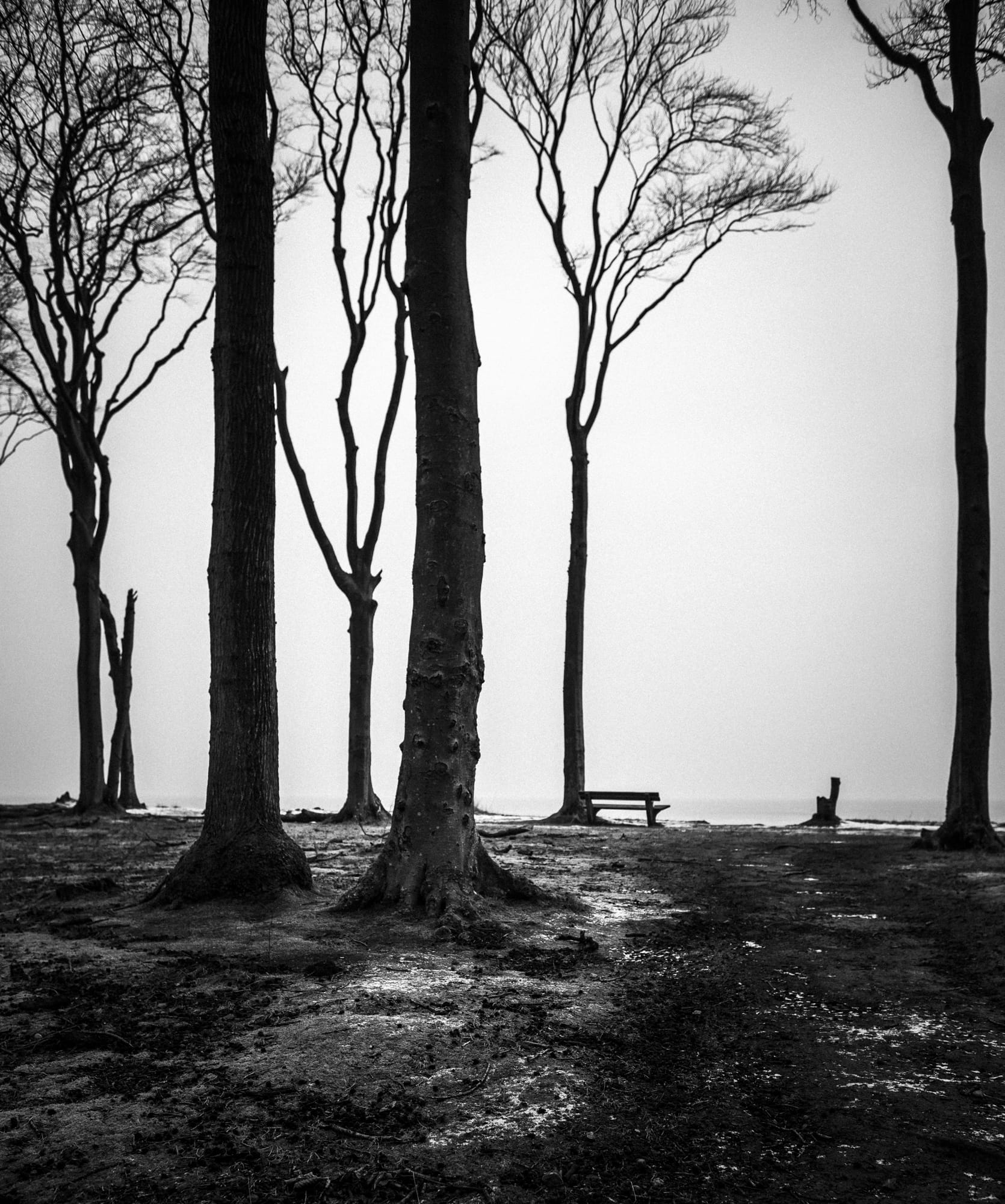 Landscapes blackandwhite