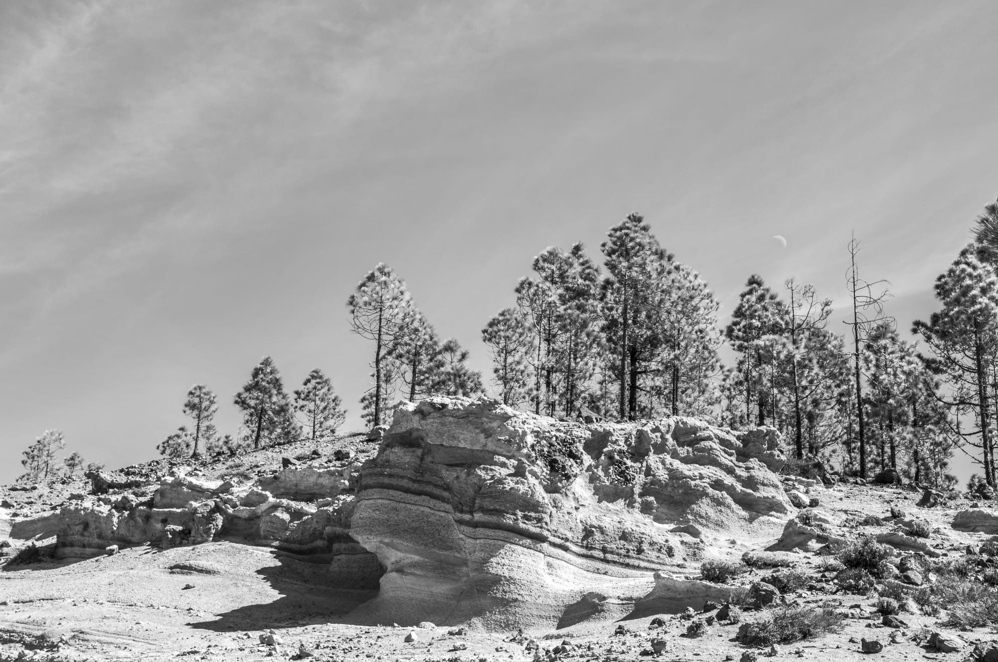 Landscapes blackandwhite