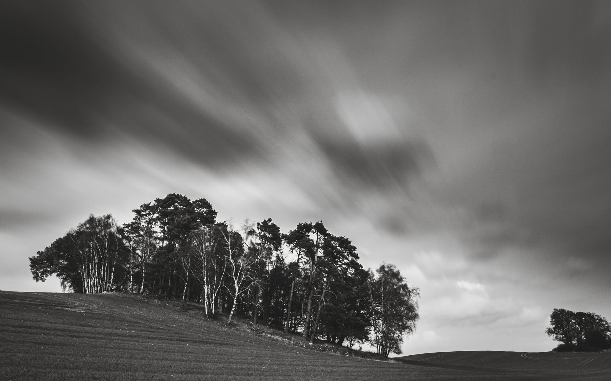 Landscapes blackandwhite