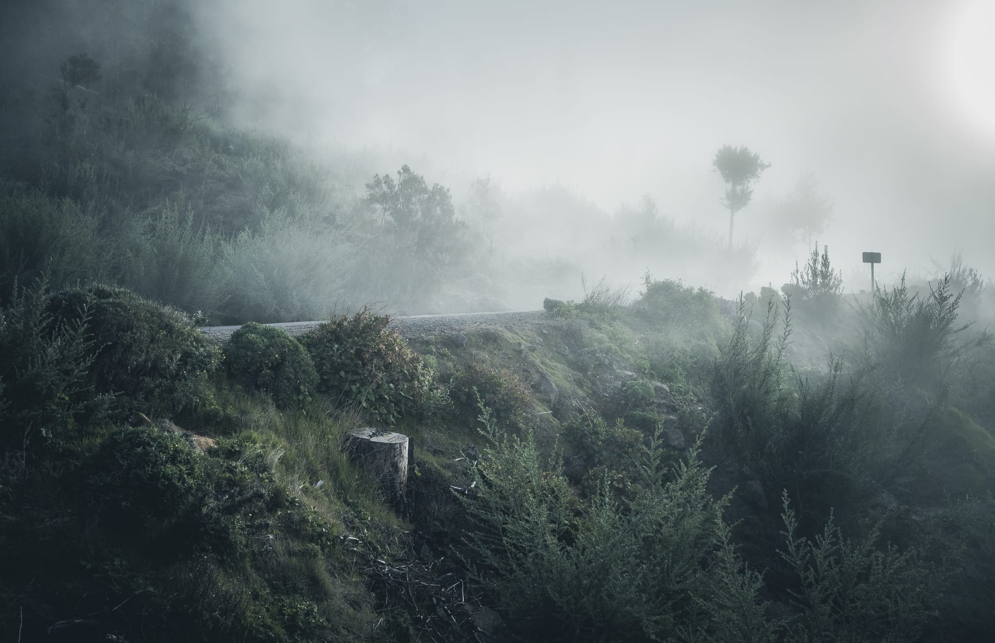 Landscapes