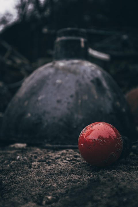 after the Fire