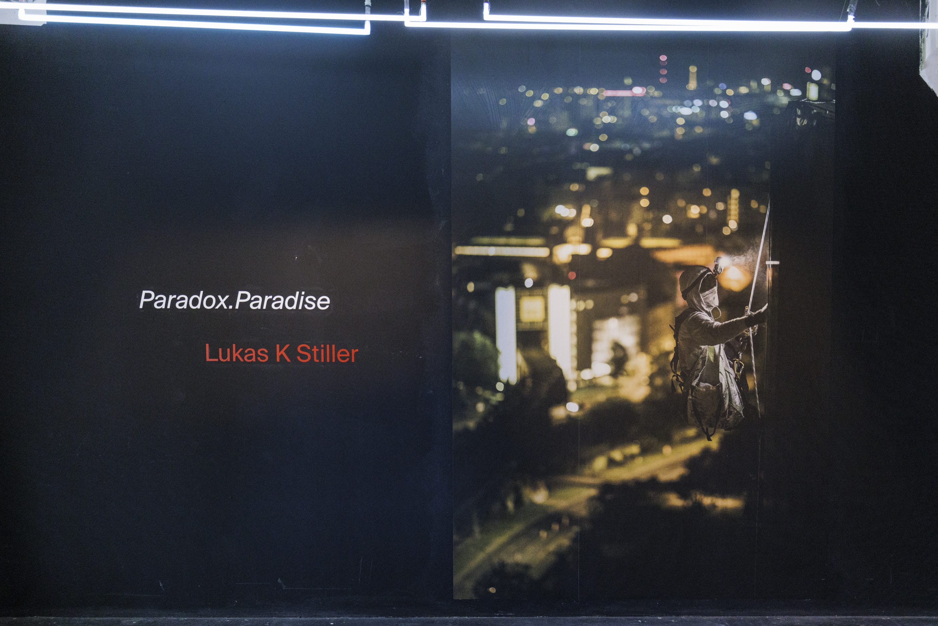 Paradox.Paradise the Exhibition